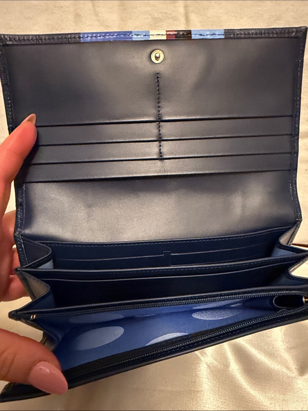 Blue Striped Longchamp Wallet - Picture 5 of 8